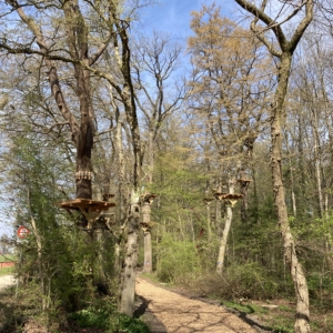 Foto 24.03.26, 13 11 01